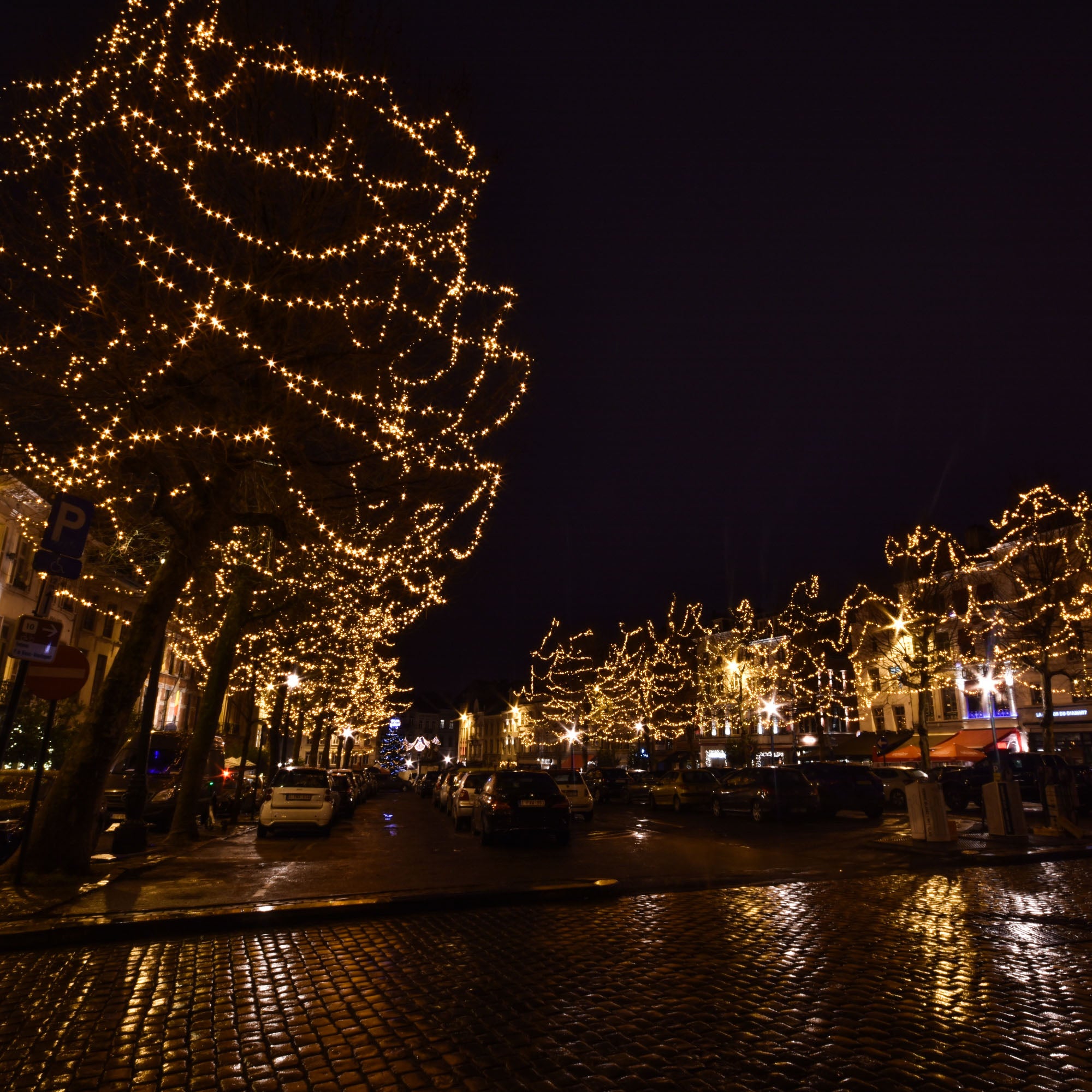 Guirlande fixe Optima L20m -230V